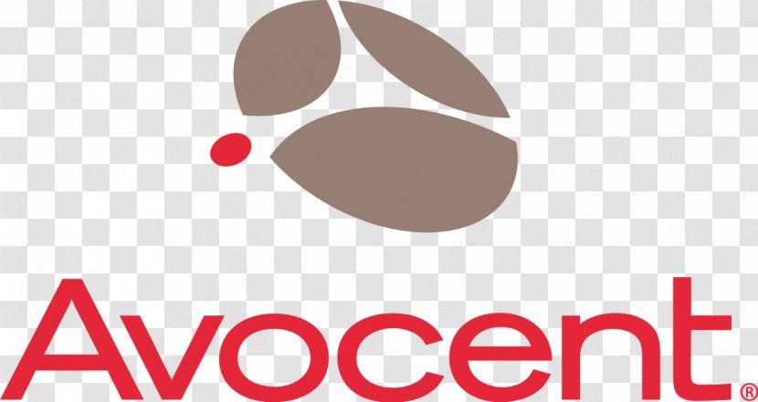 Avocent ACS Logo KVM Switches Deutschland GmbH - Text - Kvm Switch Transparent PNG
