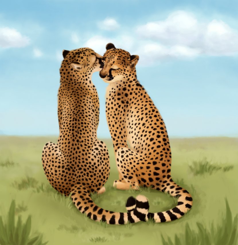 King Cheetah Cat Leopard Valentine's Day - Wildlife Transparent PNG