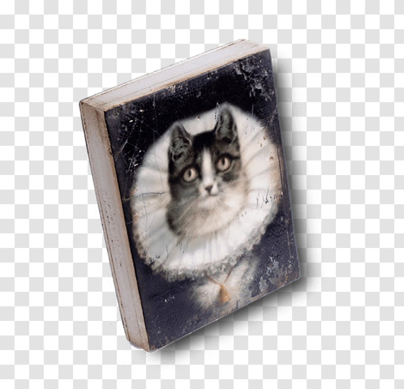 Katzenfreundschaften (4 Wunderschöne Katzengeschichten Vom Tiervater Alfred Brehm) Cat Whiskers Collage Picture Frames - Frame Transparent PNG