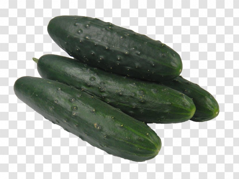 Pickled Cucumber Vegetable Spreewald Gherkins - Garden Radish - Crucifixion Transparent PNG