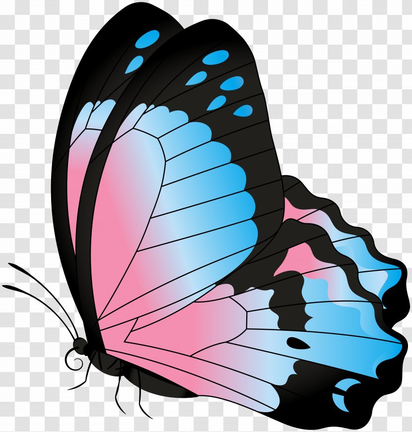 Clip Art - Brush Footed Butterfly - Blue Pink Transparent Image Transparent PNG
