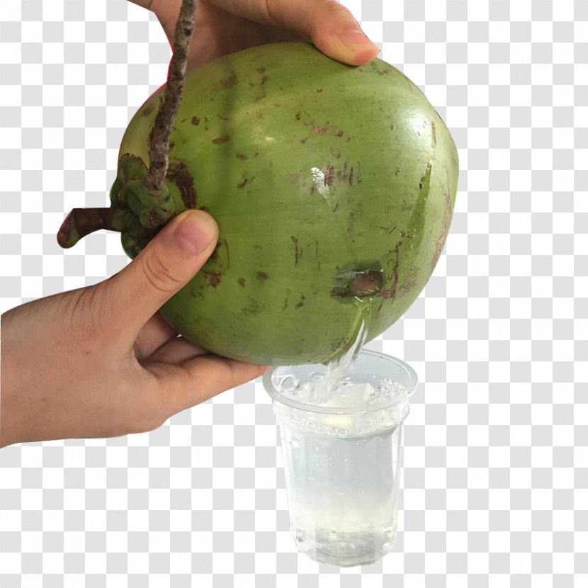 Coconut Milk Water - Keep Hands Pouring Chilly Transparent PNG