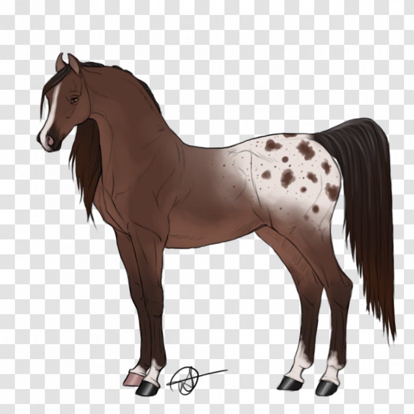 Foal Rein Stallion Mane Mare - Mustang Transparent PNG