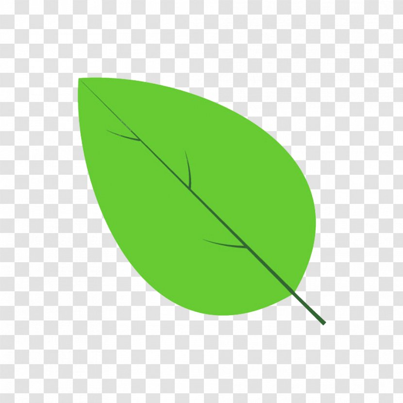 Leaf Line Angle Green - Plant - Ilex Aquifolium Transparent PNG