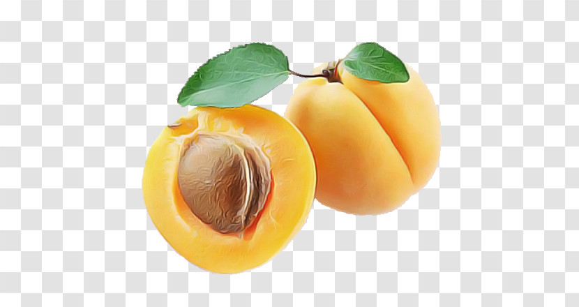 Apricot Armenian Plum Calorie Fruit Fruit Transparent PNG