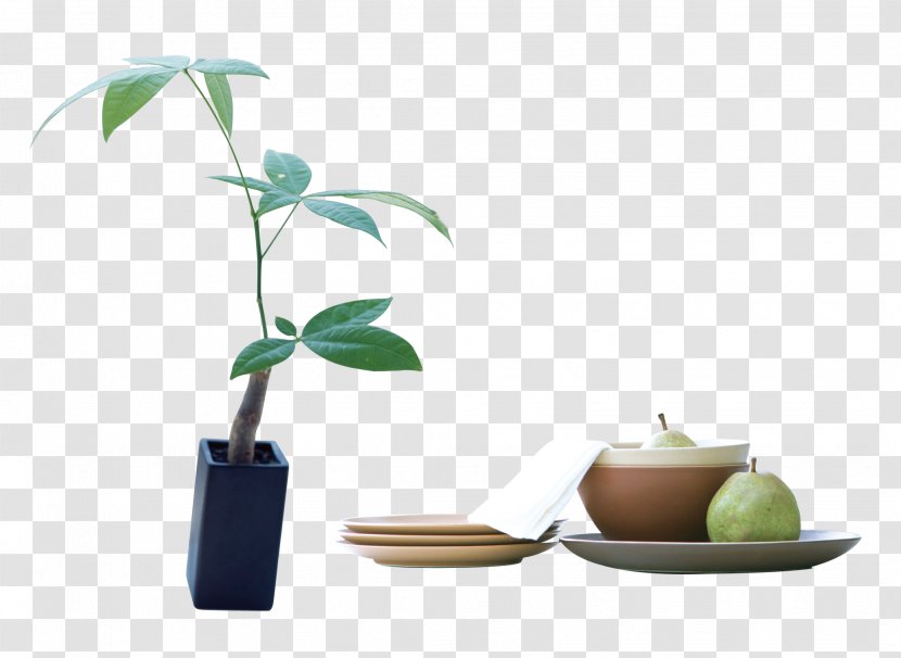 Ceramic Flowerpot Bonsai Vase - Google Images - Vases, Potted Plants Pull Material Free Transparent PNG
