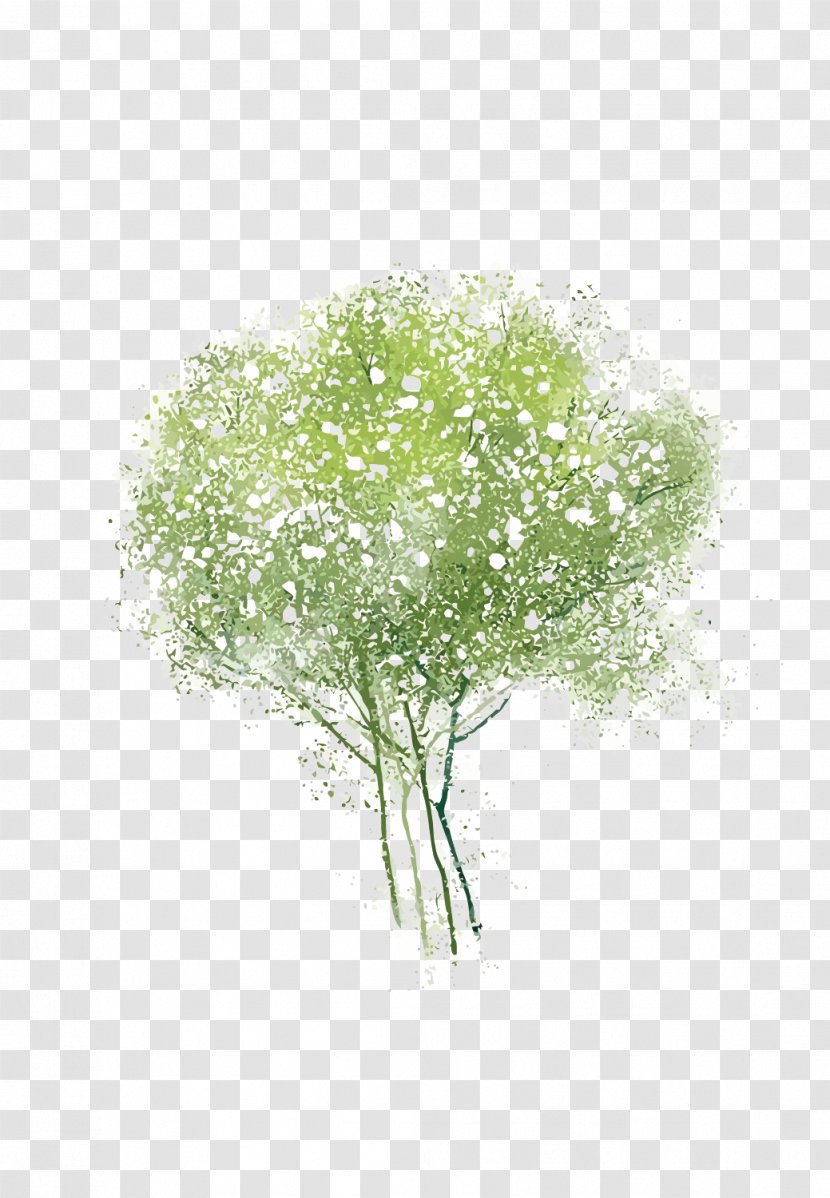Adobe Illustrator - Watercolor Painting - Vector Tree Transparent PNG
