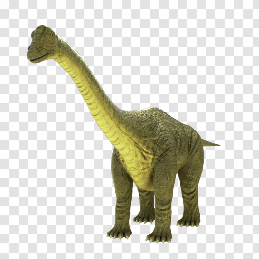 Brontosaurus Apatosaurus Animation Tyrannosaurus Transparent PNG