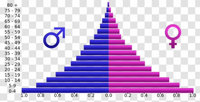 Population Pyramid Demographic Transition Age Structure - Purple - Human Aging Transparent PNG