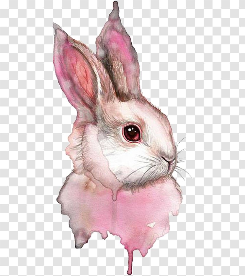 Watercolor Painting Rabbit Drawing - Mammal Transparent PNG