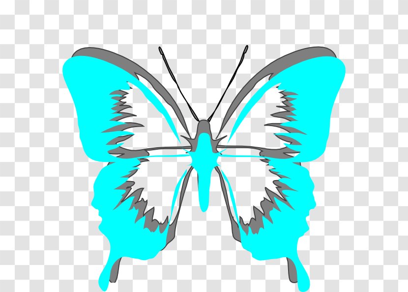 Brush-footed Butterflies Butterfly Moth Stencil Clip Art Transparent PNG