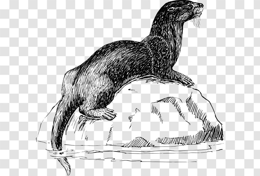 Sea Otter T-shirt North American River Mug - Mustelids Transparent PNG