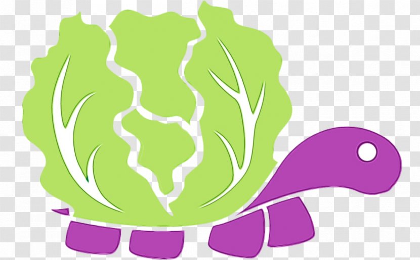 Green Turtle Sea Cabbage Tortoise - Paint - Vegetable Plant Transparent PNG