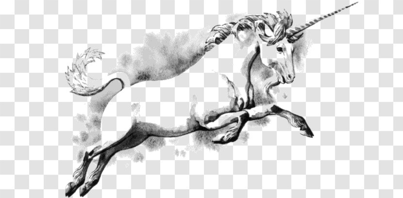 The Last Unicorn Legendary Creature - Monochrome Transparent PNG