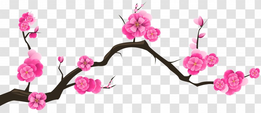 Cherry Blossom Branch Tree Almond - Sprin Transparent PNG