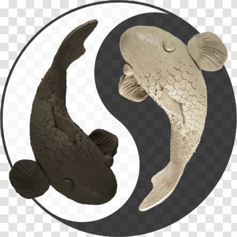 Carnivora - Organism - Koi Fish Yin And Yang Transparent PNG