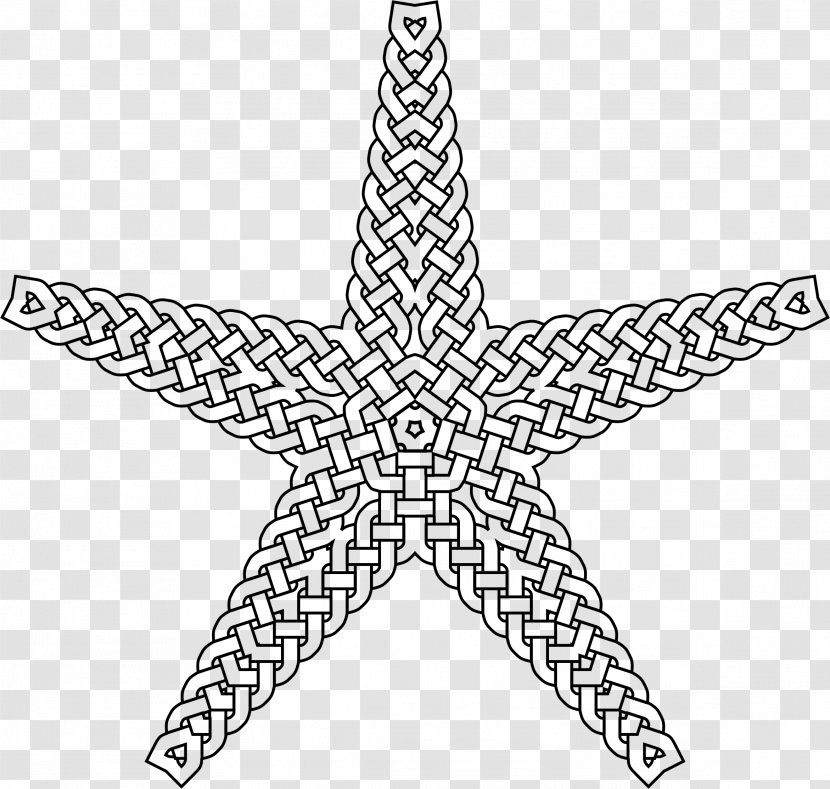 Starfish Lost Ocean, An Inky Adventure And Colouring Book - Organism - Qr Codea4 Transparent PNG