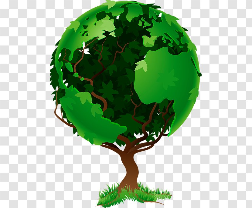 World Tree Globe Natural Environment - Organism Transparent PNG