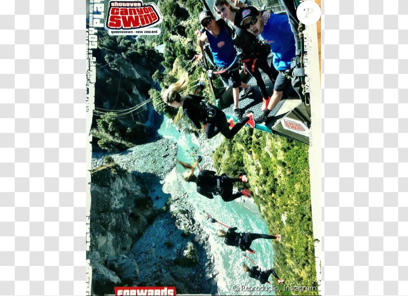 Tree Adventure Film - Bungee Jump Transparent PNG