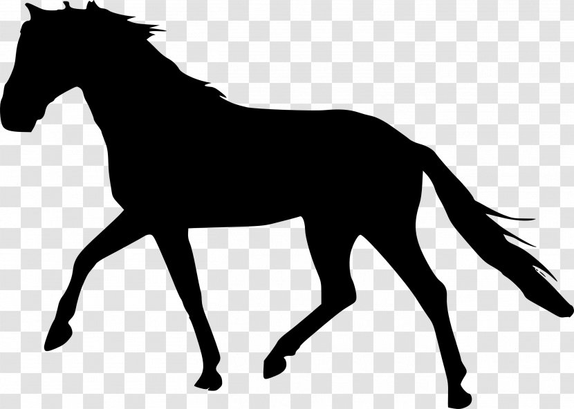 Clip Art Vector Graphics Horse Illustration - Livestock - Animal Figure Transparent PNG