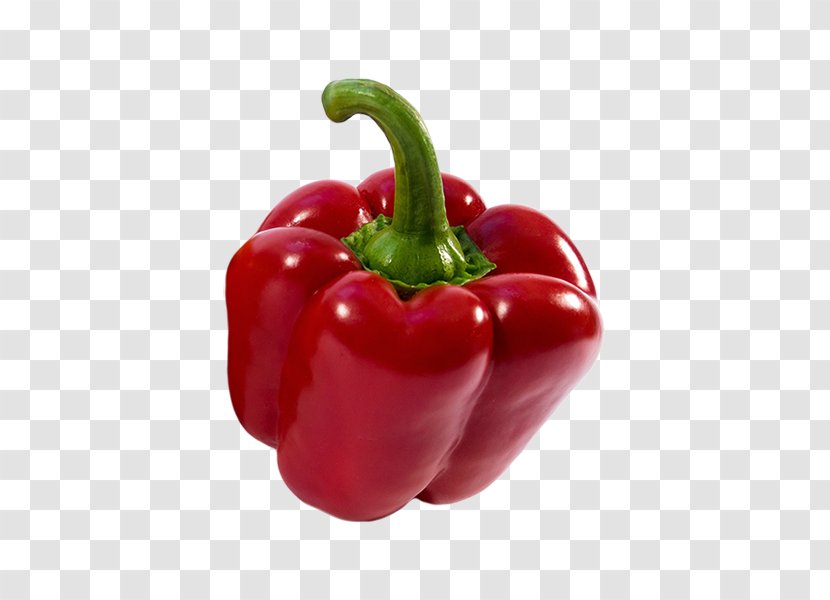 Habanero Serrano Pepper Cayenne Tabasco Bell - Onion - Black Transparent PNG