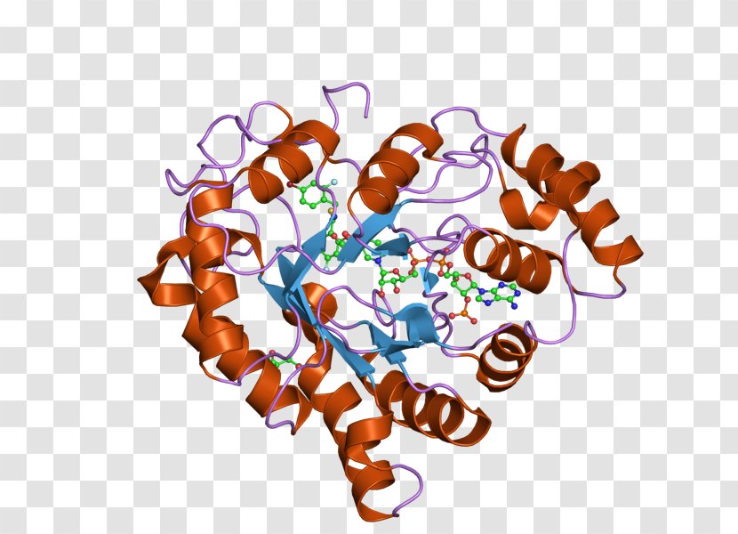 Food Clip Art - European Bioinformatics Institute Transparent PNG