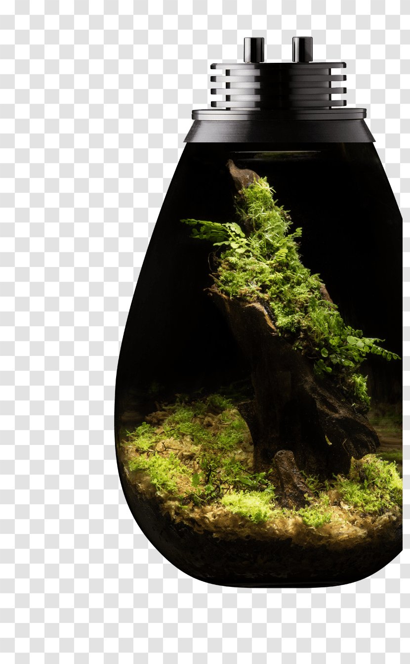 Green Leaf Background - Vendor - Nonvascular Land Plant Rock Transparent PNG