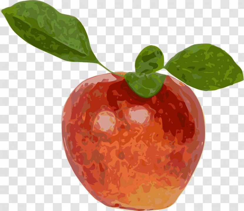 Apple Fruit Stock.xchng Vector Graphics - Food Transparent PNG