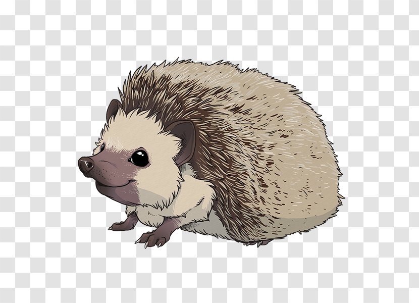 Hedgehog Care Sticker Sea Lion Pet - Domesticated Transparent PNG