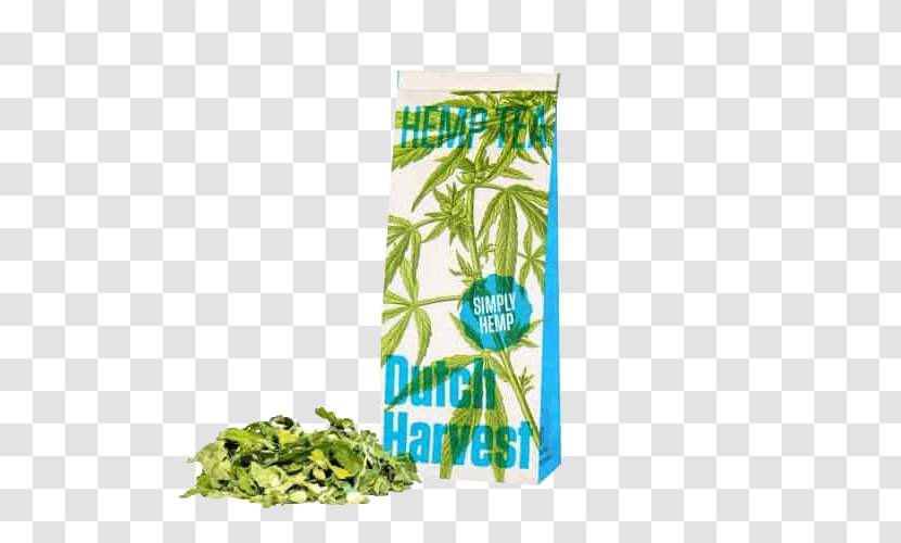 Masala Chai Dutch Harvest - Hemp - Tea Cannabis Sativa TeaTea Transparent PNG