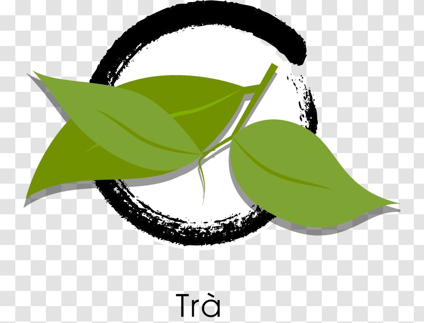 Clip Art Product Design Green Leaf - Logo Transparent PNG