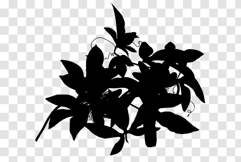 Clip Art Flowering Plant Pattern Silhouette - Photography - Botany Transparent PNG
