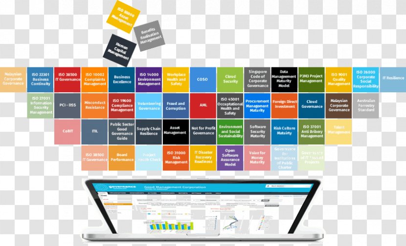 Organization Management Capability Maturity Model Software Framework - Corporation - Array Comparative Genomic Hybridization Transparent PNG