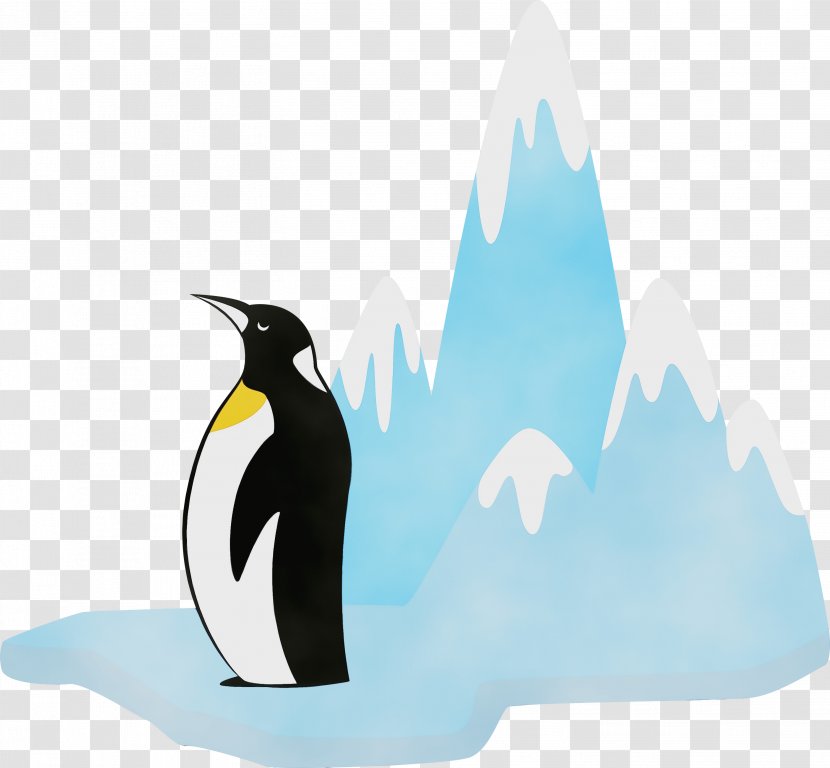 Penguin - Bird - Beak King Transparent PNG
