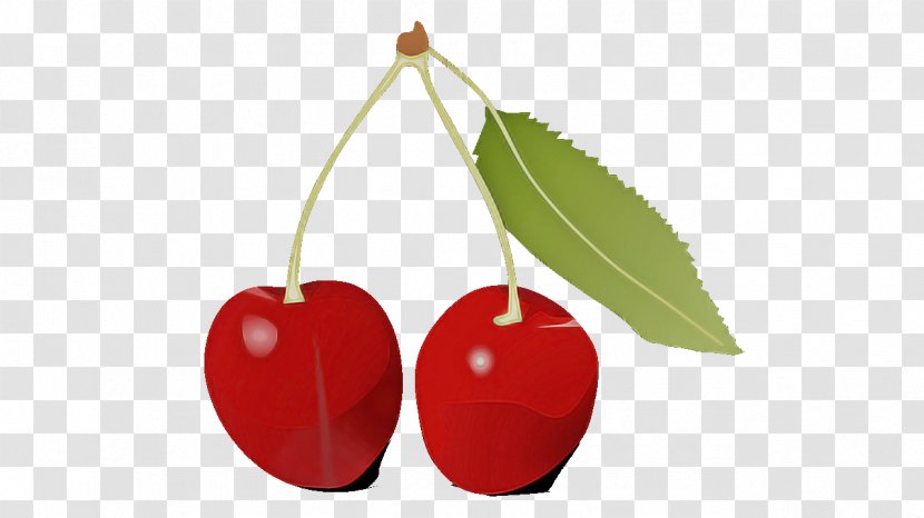 Cherry Fruit Red Plant Leaf - Drupe Flower Transparent PNG