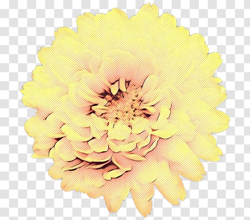 Chrysanthemum Transvaal Daisy Cut Flowers Dahlia - Artificial Flower Transparent PNG