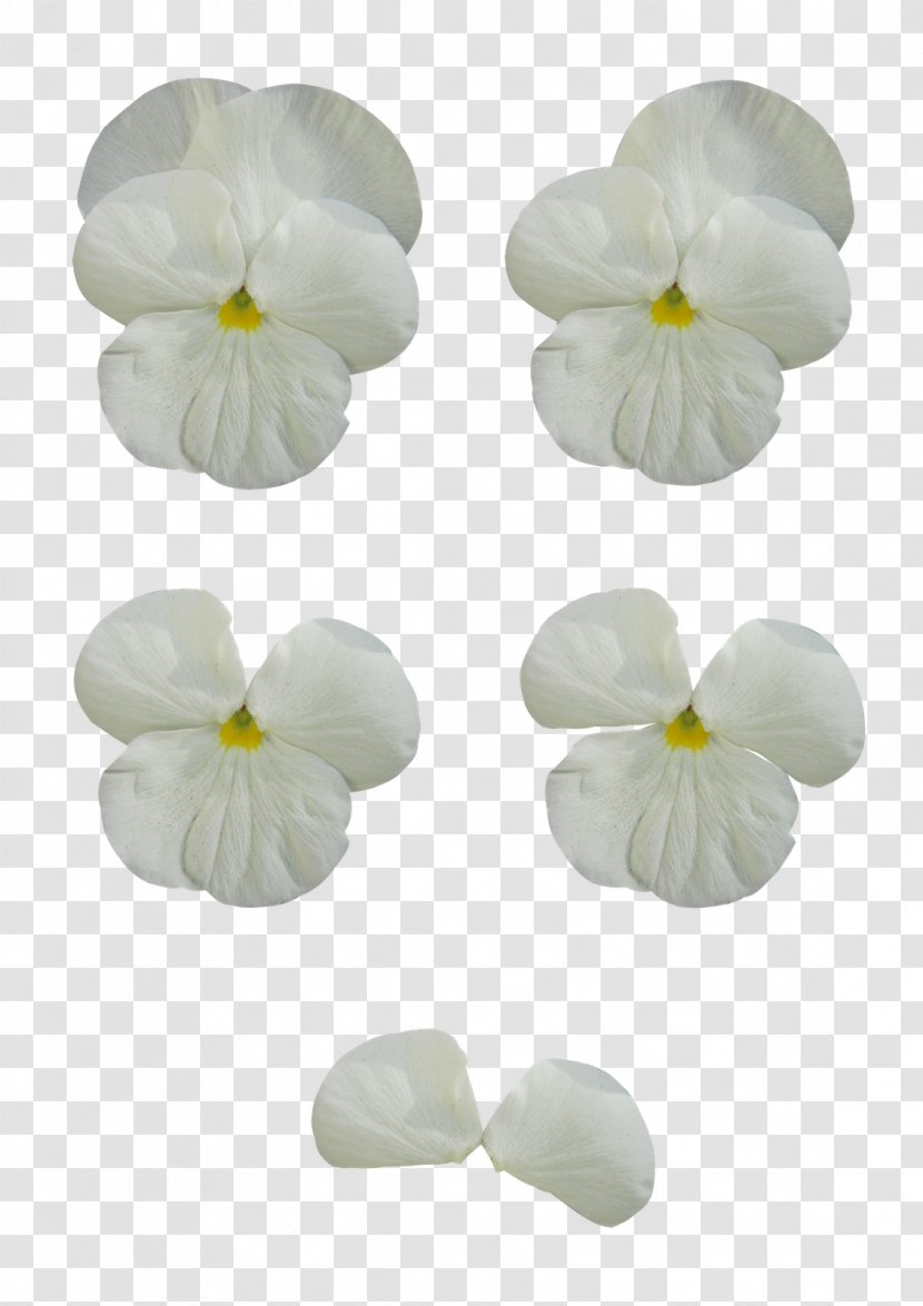 Pansy Cut Flowers Clip Art - Flower - Mint Transparent PNG