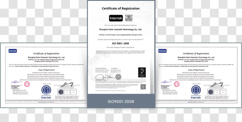 Web Page Product Design Multimedia Brand - Qualification Certificate Transparent PNG