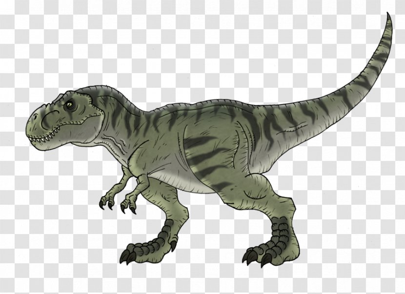 Tyrannosaurus Velociraptor Spinosaurus Chaos Island: The Lost World Triceratops - Jurassic Park - Dinosaur Transparent PNG