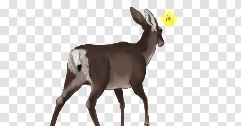 Antelope White-tailed Deer Goat Wildlife - Antler Transparent PNG