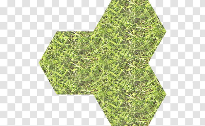 Tile Green Hexagon Rectangle - Grass - Seamless Transparent PNG