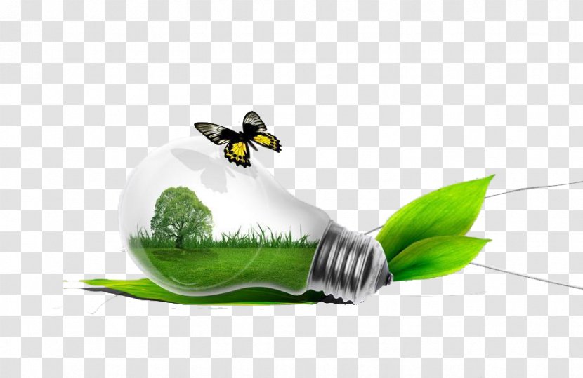 Incandescent Light Bulb LED Lamp Electric - Environmental Class Clean Green Energy Protection Transparent PNG