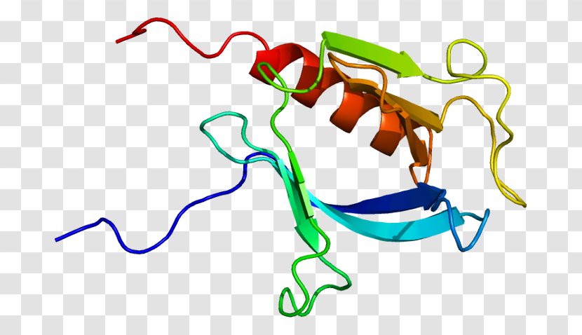 PLEKHB2 Protein Pleckstrin Homology Domain Gene - Watercolor - Silhouette Transparent PNG
