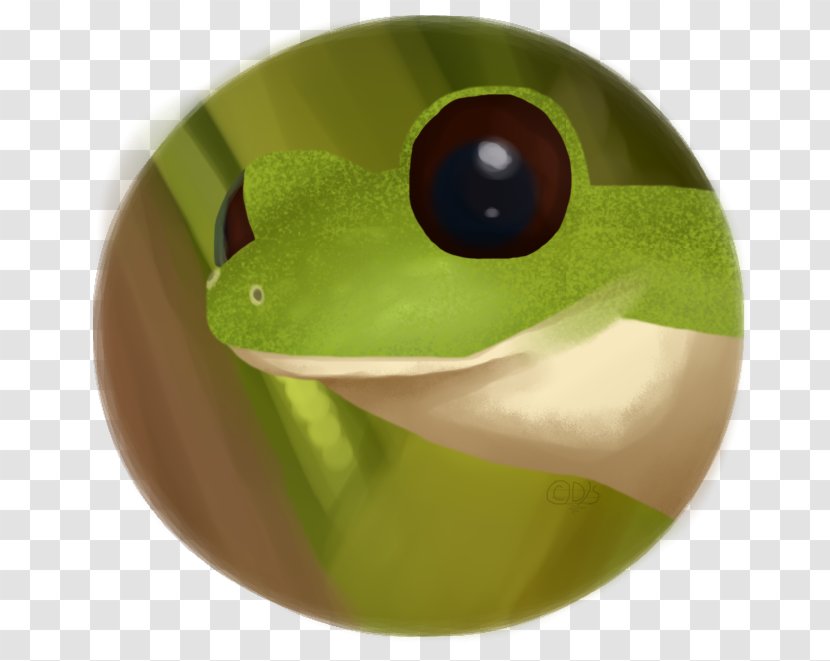Tree Frog - Green Transparent PNG