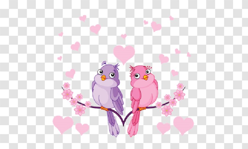 Lovebird Drawing - Watercolor - Bird Transparent PNG