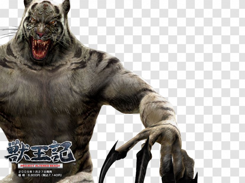 Altered Beast Arcade Game Dragon Legendary Creature - Aggression Transparent PNG