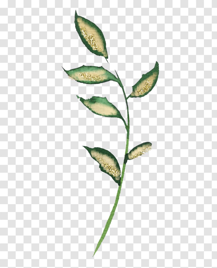 Twig Plant Stem Leaf - Bible Gateway Passage Lookup Wisdom Transparent PNG