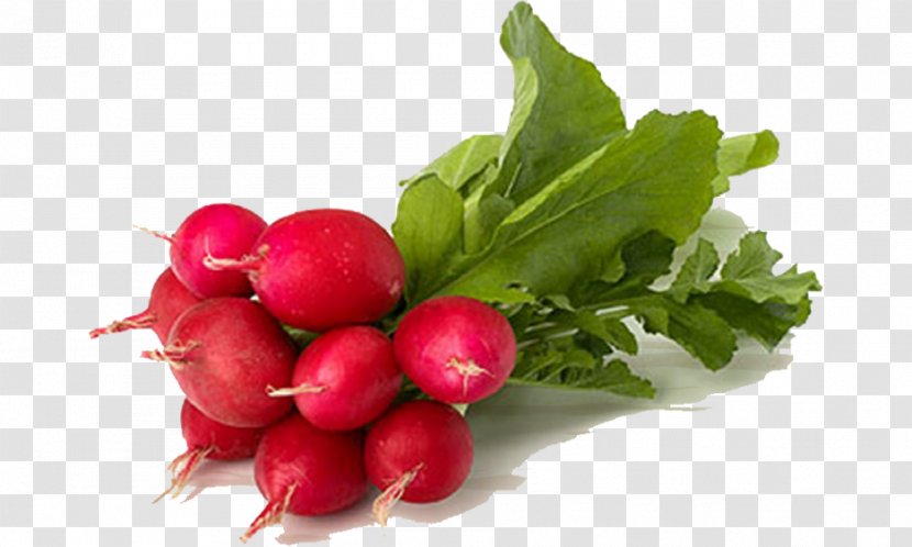 Daikon Pickled Radish Organic Food Vegetable - Turnip Transparent PNG