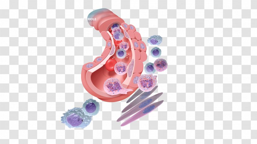 Tissue Organism Inflammation Injury Infection Transparent PNG