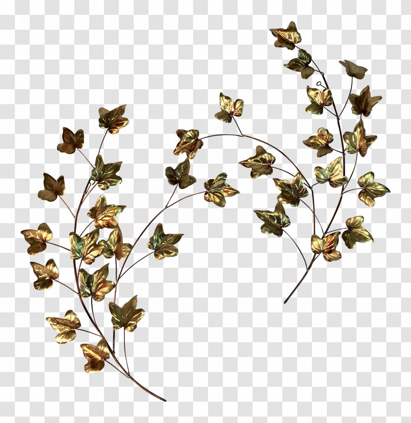 Twig Plant Stem Leaf Flowering Transparent PNG